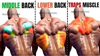 Miniature : 12 BEST BACK WORKOUT WITH BARBELL  ONLY AT HOME OR AT GYM