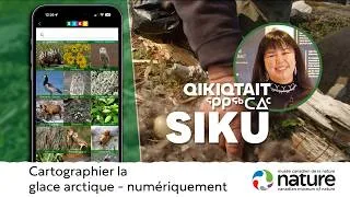 Miniature : SIKU : cartographier la glace arctique – numériquement