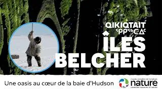 Miniature : Îles Belcher : une oasis au cœur de la baie d’Hudson