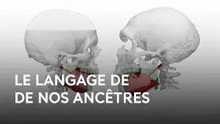 Miniature : L'origine du langage, apports de la linguistique et de la paléoanthropologie