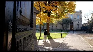 Miniature : Le MusBA vous ouvre ses portes !