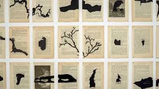Miniature : Teaser Les Mondes invisibles, exposition d'Aurélien Mauplot au MNP