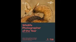 Miniature : Teaser de l'exposition "Wildlife Photographer of the Year" 61ème édition