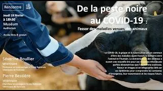Miniature : De la peste noire au COVID-19 : l’essor des maladies venues des animaux