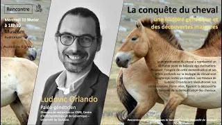 Miniature : Domestication du cheval : ce que révèle l’ADN ancien | Conférence de Ludovic Orlando