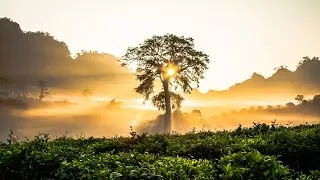 Miniature : Musique du Matin pour Avoir de l’Énergie 🌞 | Musique Idéale pour se Réveiller, Débuter la Journée