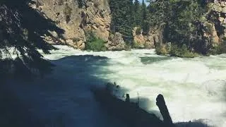 Miniature : ☀️ [FREE] Un segundo para la naturaleza ☀️