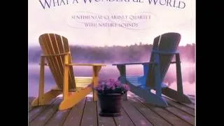 Miniature : What A WonderFul World - Dan Gibson's Solitude [Full Album]