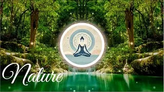 Miniature : Musique Calme, Chants D'oiseaux et Ruisseau Paisible