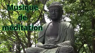 Miniature : Musique de Méditation sous les arbres