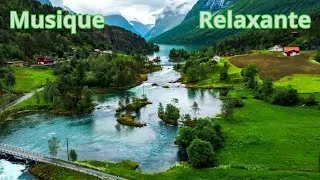 Miniature : Musique de Relaxation  |  Un moment pour se ressourcer en forêt.