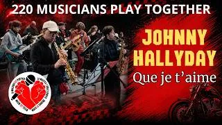 Miniature : Johnny Hallyday - Que je t'aime (cover)