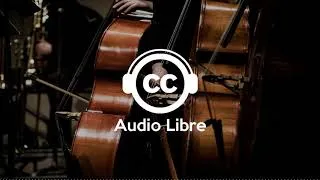 Miniature : Musique Symphonie Gratuite Libre de Droits Classique Violon | Sam Marshall - Phandalin