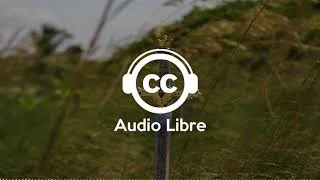 Miniature : Musique Gratuite Orchestre Calme Libre De Droit | Niko Spiliotis-The Sun Will Set Only to Rise Again