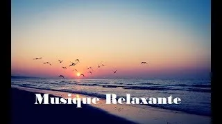 Miniature : Musique Angélique pour la Meditation, Purification et Protection de l'Aura, Vibrations Positives