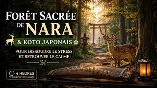 Miniature : 🦌 Forêt Sacrée de Nara & Koto Japonais pour Dissoudre le Stress et Retrouver le Calme ✨