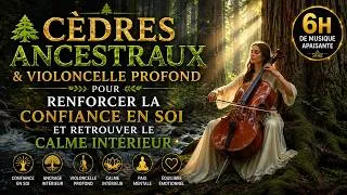 Miniature : 🌲Cèdres Ancestraux & Violoncelle pour Renforcer la Confiance en Soi et Retrouver le Calme Intérieur✨