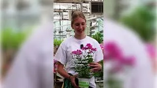 Miniature : Vachement proches : L’enseignement agricole, côté végétal