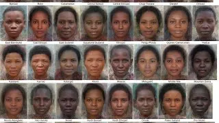 Miniature : Racisme anti-noir : le plus gros scam et complot qu’ait connu l’humanité. 