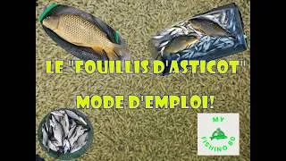 Miniature : AVEC LE "FOUILLIS D'ASTICOTS" C'EST "CARTON ASSURÉ"!! MODE D'EMPLOI!