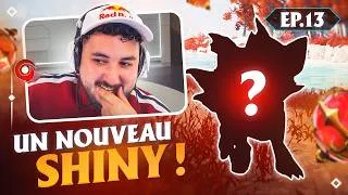 Miniature : JE TOMBE SUR UN NOUVEAU SHINY 🤩