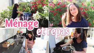 Miniature : MENAGE, NOUVEL ASPIRATEUR BISSELL ET RECETTE DE MUJADDARA (coup de coeur !) AU TM7 | Little Béné