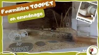 Miniature : Fourmilière Toopet - on emménage !!
