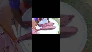 Miniature : Mastering the Art of Tuna Cutting  How Does He Do It Outdoors