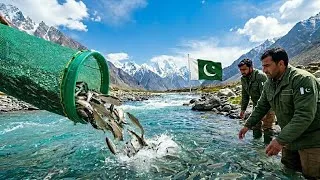 Miniature : Le Pakistan a relâché des millions de poissons en montagne — voici ce qui s’est passé en 5 ans