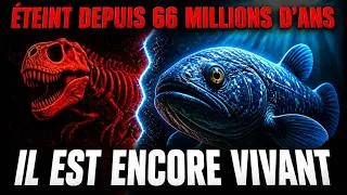 Miniature : Cette Créature a Regardé les Dinosaures Mourir... et Elle Nage Encore Sous Nos Pieds