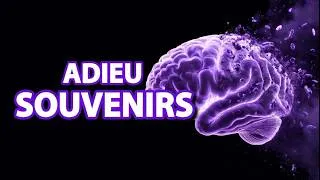 Miniature : Ton cerveau effacera des souvenirs cette nuit