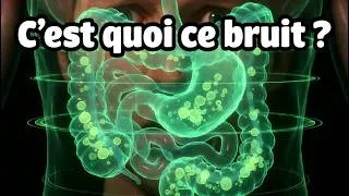 Miniature : Pourquoi le ventre gargouille ?