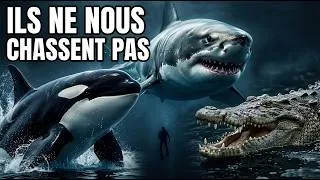 Miniature : 3 des prédateurs les plus dangereux au monde qui attaquent rarement les humains