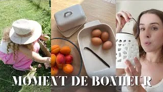 Miniature : Petit bonheur du quotidien 🍀🌞 : Action, jardinage et clafoutis aux abricots