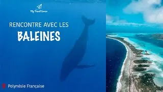 Miniature : Je pars SEULE à la découverte de la POLYNÉSIE FRANÇAISE - Sept 2020