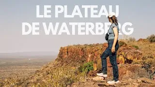 Miniature : LA DÉCEPTION AU PARC NATIONAL DE WATERBERG | Dernier vlog voyage en Namibie ! 🇳🇦