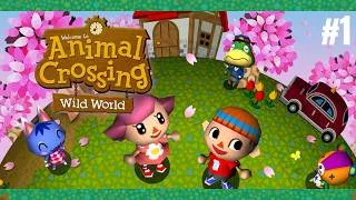 Miniature : [FR] "Découverte" du jeu! Animal Crossing Wild World #1