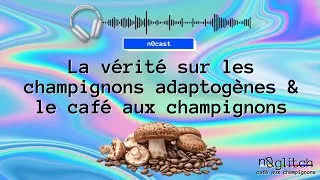 Miniature : Champignons Adaptogènes & Café aux Champignons : Tout savoir - Bienfaits, Usage, Fonctionnement