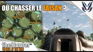 Miniature : THE HUNTER COTW : OÙ CHASSER LE FAISAN SUR HIRSCHFELDEN ET CUATRO COLINAS
