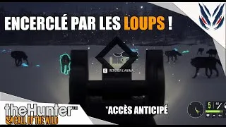 Miniature : THE HUNTER COTW : ENCERCLÉ PAR LES LOUPS SUR MEDVED !