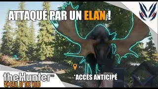 Miniature : THE HUNTER COTW : ATTAQUÉ PAR UN ELAN ! Gameplay sur New England Mountain