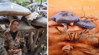 Miniature : Peinture de champignons,  Mélanges de verts naturels,  Tableau en cours | Nadège Christophe