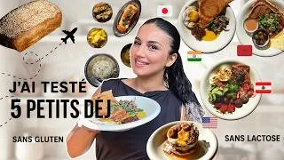 Miniature : je teste 5 petits-déjeuners de différents pays | sans gluten - sans lactose & anti-inflammatoire