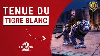 Miniature : PACK D'APPARENCE DU TIGRE BLANC [GUILD WARS 2]