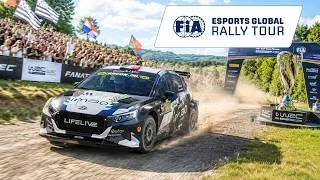 Miniature : J'ai tenté de me qualifier pour les championnats du monde de Rally... (Esport)