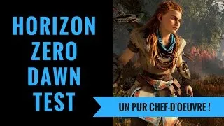 Miniature : HORIZON ZERO DAWN | Test & Analyse FR Version PS4 Pro | Le Chef-D'oeuvre Made In Guerrilla Games