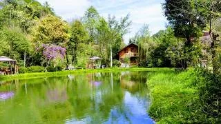 Miniature : Lost in the Wonders of Nature