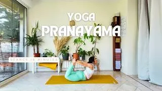 Miniature : Pranayama 🌬️ Séance 16 min | La puissance de la respiration