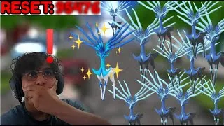 Miniature : Pokemon X Uniquement Avec Des Shiny