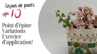 Miniature : Comment broder le point d’épine